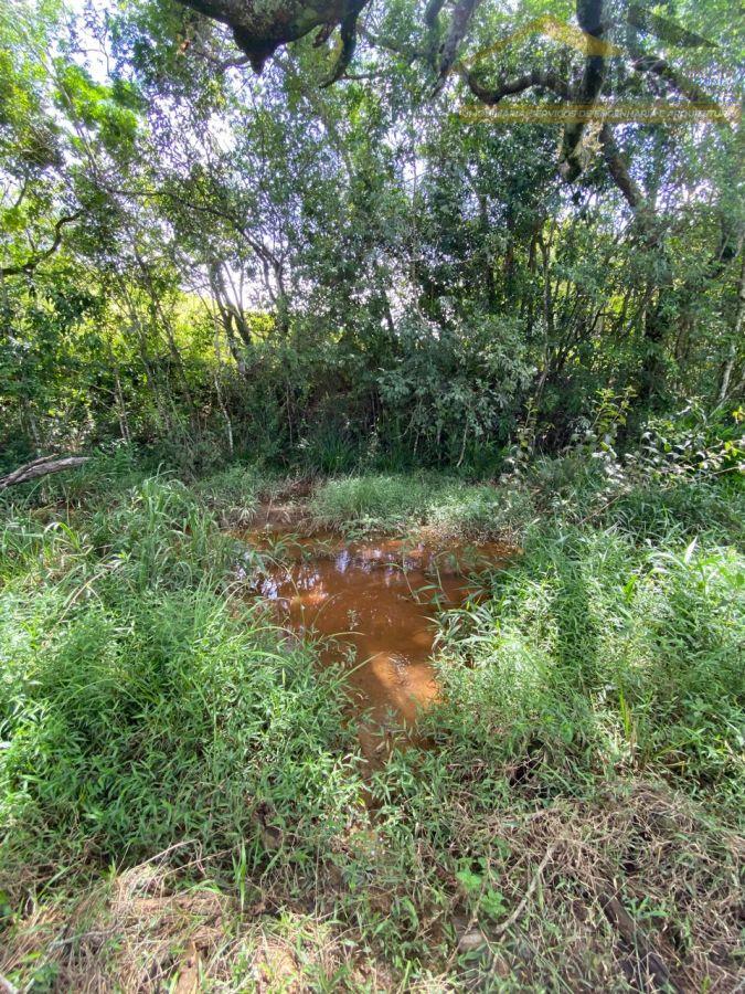 WhatsApp Image 2025-12-11 at 13.22.52 (2).jpeg